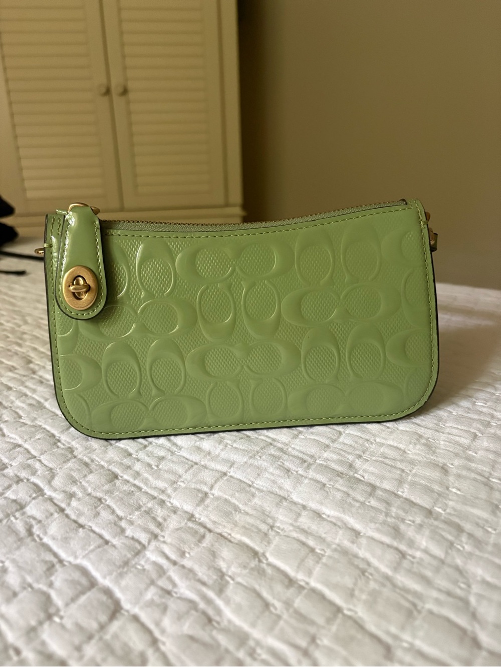 Coach Penn Shoulder Bag - Light Green
